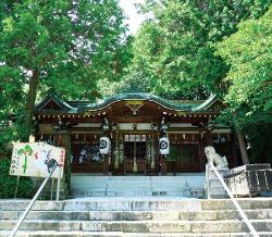 八坂神社(熊野町)の画像