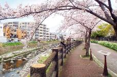 千里川の景観と野畑南公園2の画像