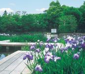 赤坂上池公園の画像