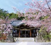 春日神社（宮山町）の画像