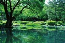 服部緑地日本庭園の画像