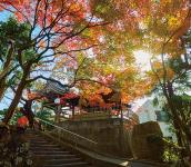円満寺の紅葉（蛍池東町）の画像