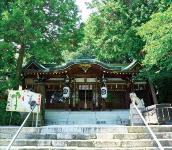 八坂神社(熊野町)の画像
