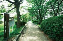 千里東町公園の画像2