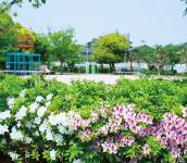 つつじ公園（新千里北町）の画像