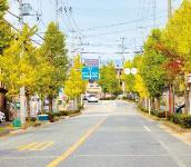 神崎刀根山線の並木の画像