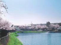 青池（上野東）の画像