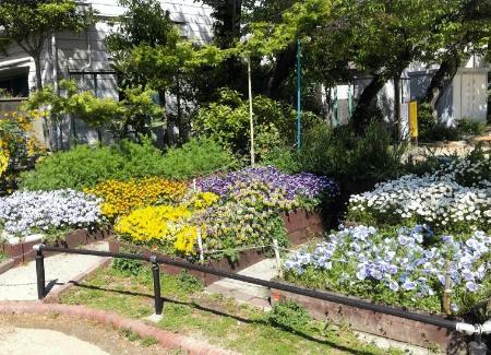 公園の清掃および花壇の花苗の植替えや育成管理　画像