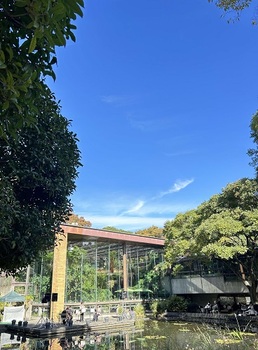 入賞作品（11月）