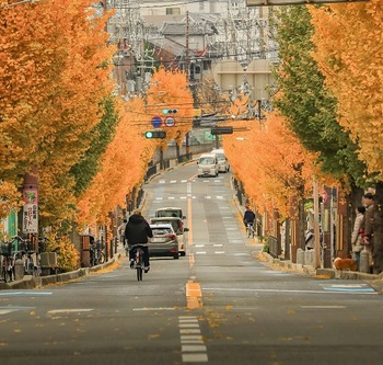 入賞作品（12月）