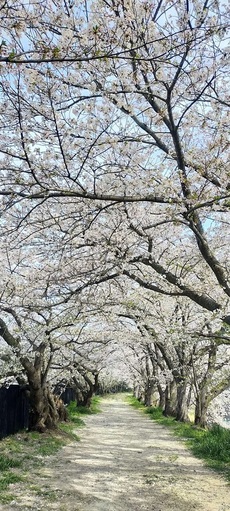 入賞作品（3月）