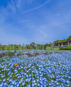 入賞作品（5月）