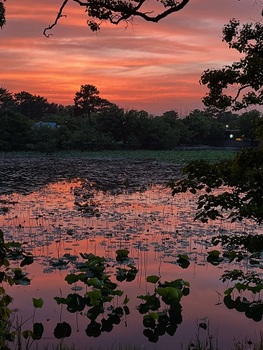 入賞作品（6月）