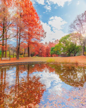 優秀賞作品その2