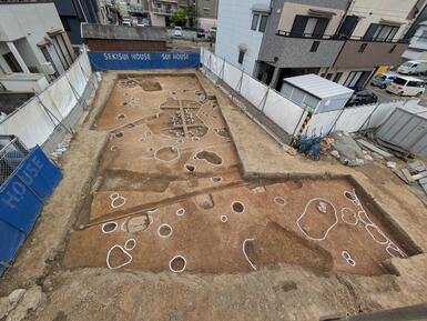 発掘調査区の全景