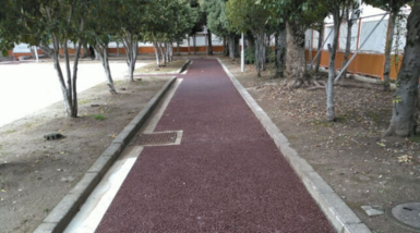 舗装された園路