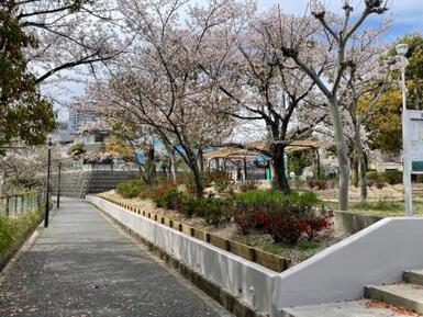 リニューアル後の公園外周の画像