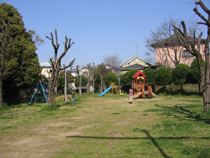 萩の寺公園写真