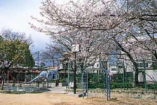 桜塚公園写真