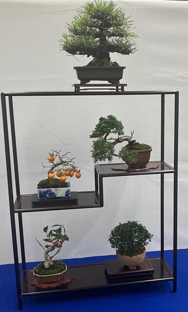 小品盆栽作品