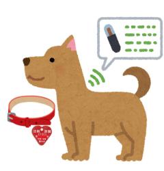 マイクロチップを装着した犬いイメージ